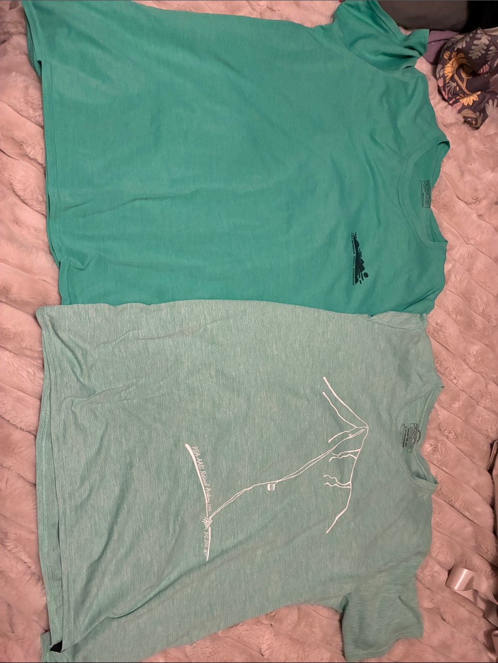 Patagonia Teal Short Sleeve Graphic Tee